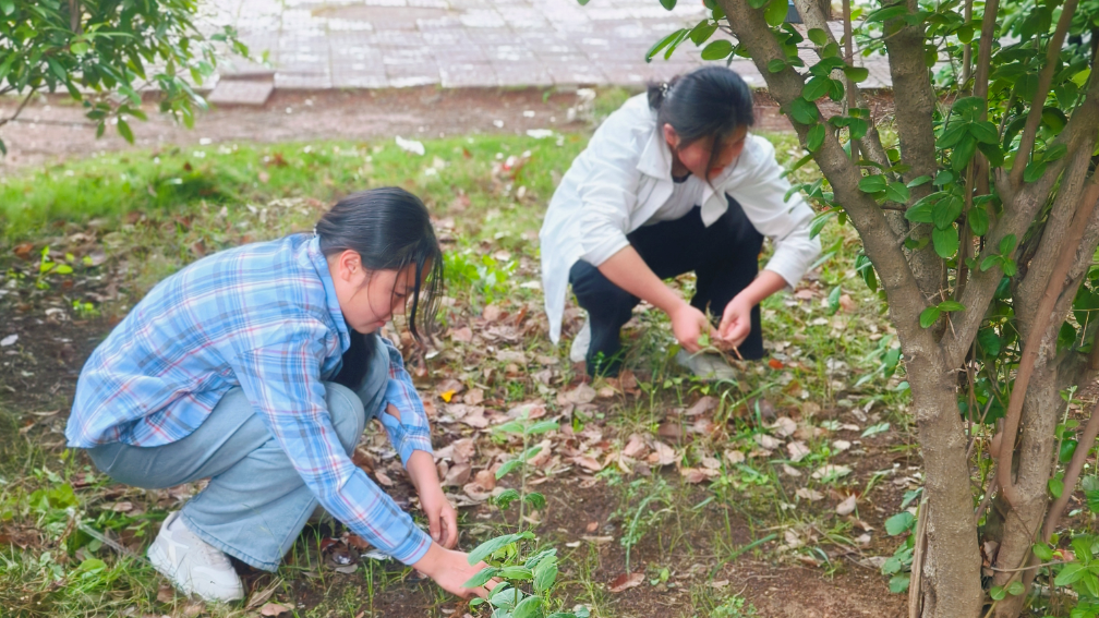 1749537022850815.png 微信圖片_20250610143009.png