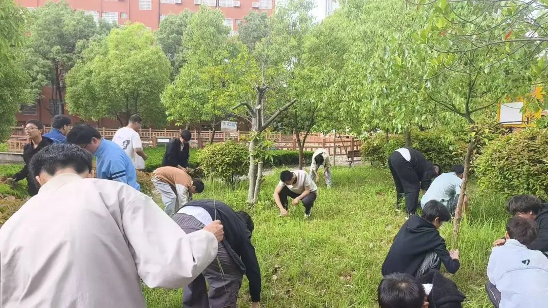 1749537026303705.jpg 微信圖片_20250610143014.jpg